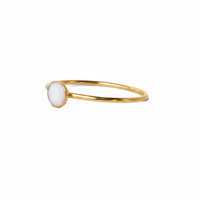 Ciclo Dainty Gold Filled Ring