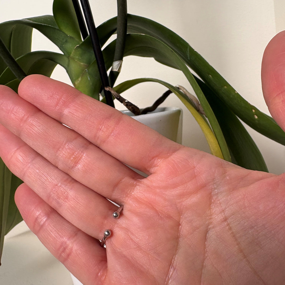 Anillo para la leche materna, hecho a mano en Canadá